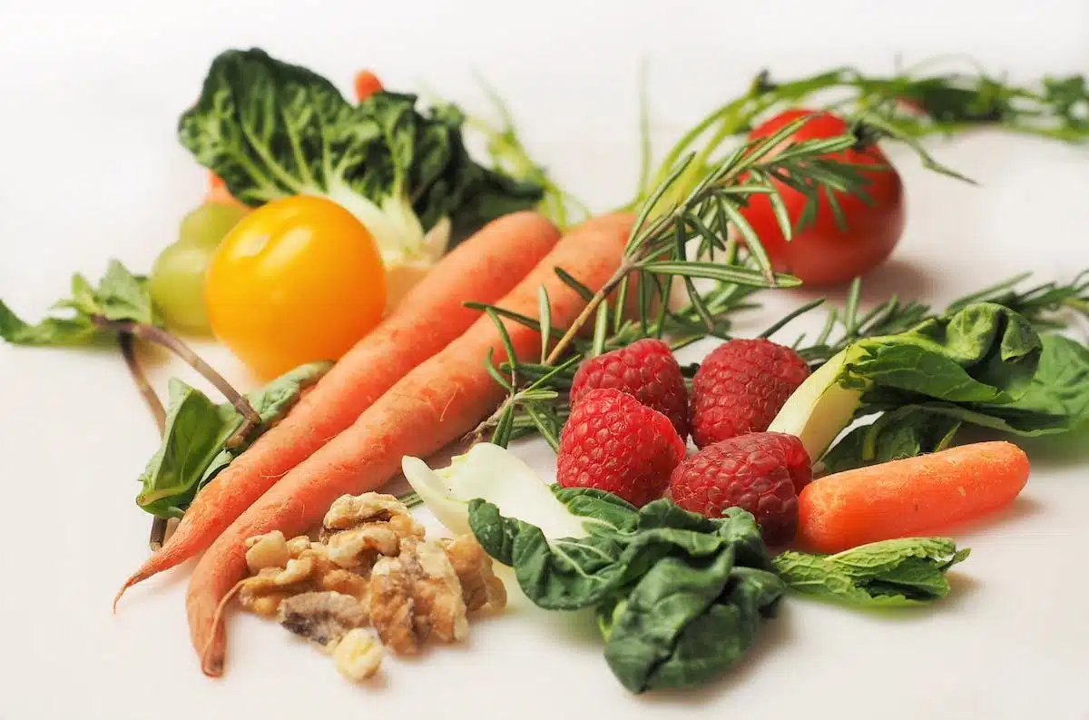 digestion  nutrition