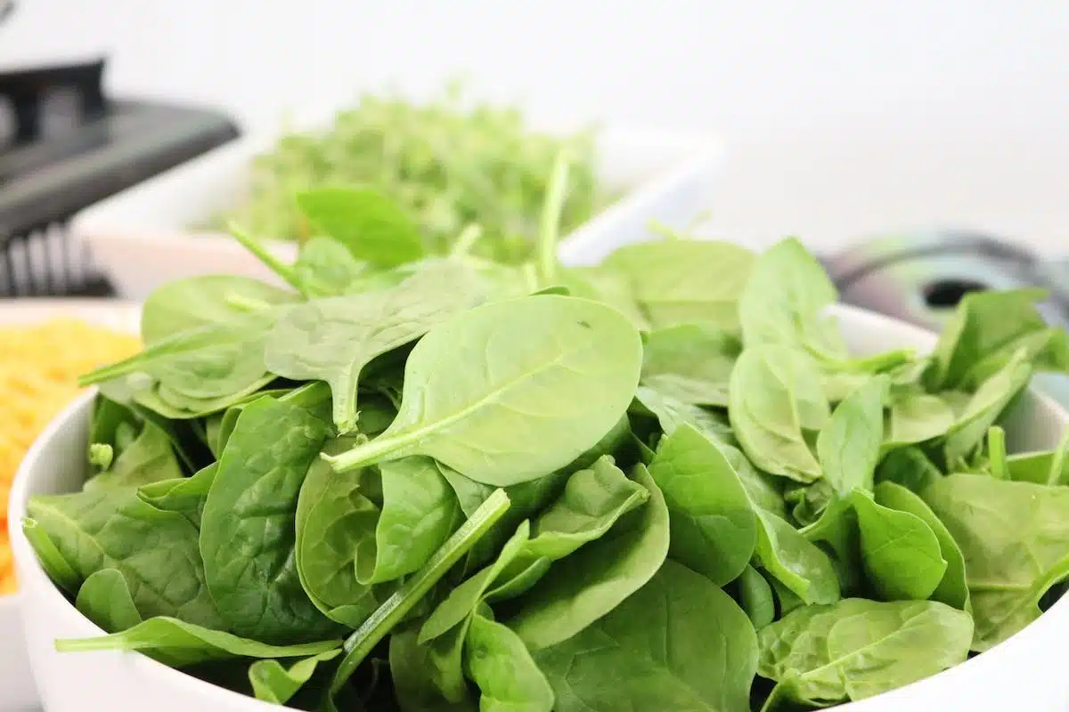 grossesse  alimentation