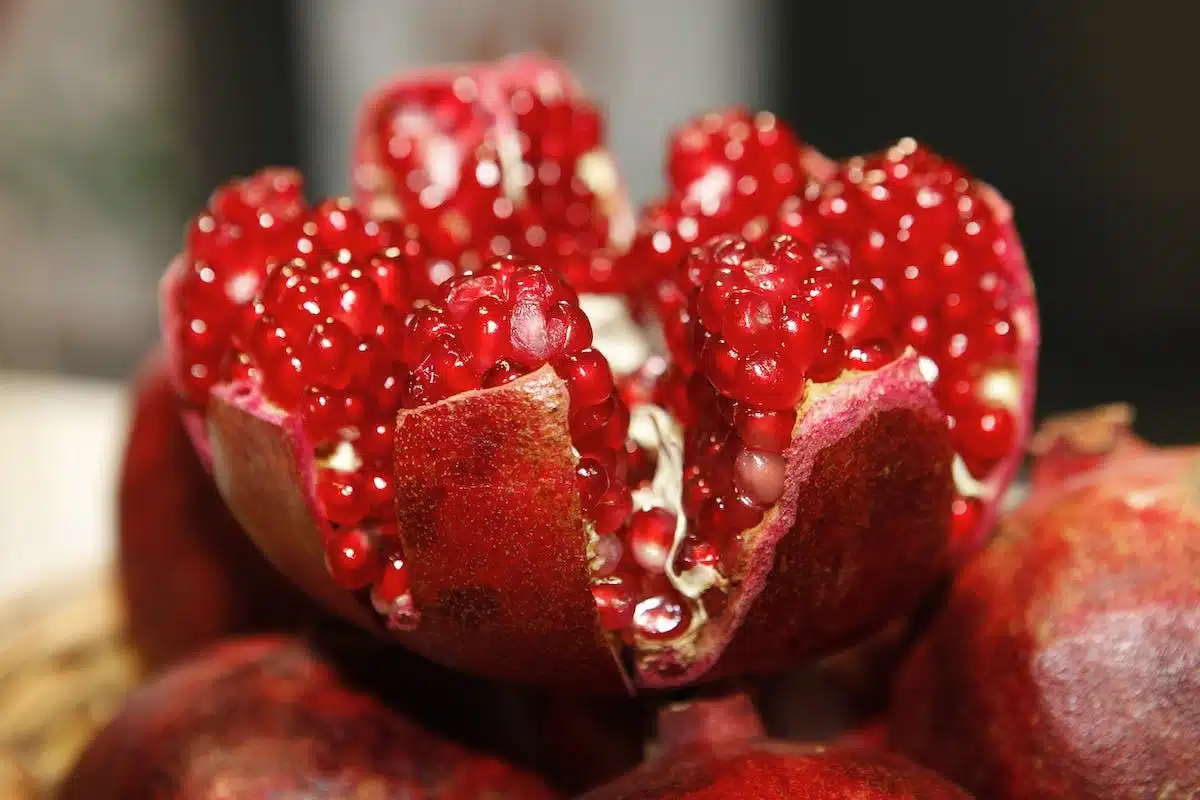 antioxydants  fruits